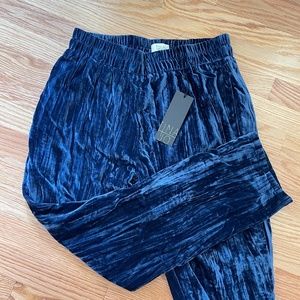 Anthropologie Blue Velvet Pants Sz XS NWT